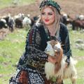 لوگوی کانال تلگرام kurd1300 — کانال فیلم ...اهنگ کردی.🌹🌹