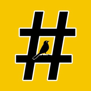 Логотип телеграм канала @kursksolo — Курский соловей