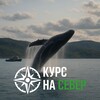 Логотип телеграм канала @kursnasever_51 — КУРС НА СЕВЕР 🧭 — туры Териберка | Северное сияние | Киты | Гид | Кольский