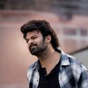 टेलीग्राम चैनल का लोगो kurulusorhanafsomali2 — SAMIIR FILMS ¹