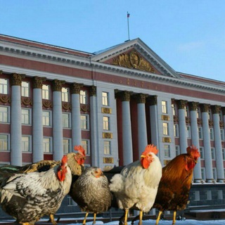 Логотип телеграм канала @kuryatniknews — Вести из КУРятника