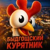 Logo of telegram channel kurybydg — Быдгощский Курятник
