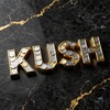 Логотип телеграм канала @kushcashtg — KUSH