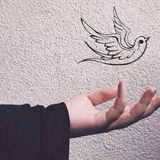 Telegram channel 𝑭𝒊 𝒂𝒎𝒂𝒏𝒊𝒍𝒍𝒂𝒉 logo