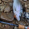 Логотип телеграм канала @kuzmichfishing65 — KF.65 Кузмич рыбалка Сахалин