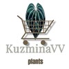 Логотип телеграм канала @kuzminavvplantssale — KuzminaVV plants 🌱sale