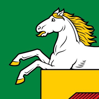 Логотип телеграм канала @kuzyakon — Новокузнецкий Конь
