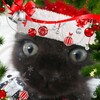 Логотип телеграм канала @kvantie_palitra — [DTIYS]Логово Кванти! Эщкере