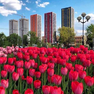 Логотип телеграм канала @kvartal_tetris — ЖК ТЕТРИС собственники