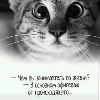 Логотип телеграм канала @kvartiri_v_tashkente — Недвижимость в Ташкенте