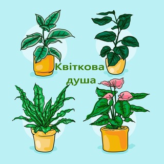 Логотип телеграм -каналу kvitkova_dysha — 🪴 Квіткова душа🪴Все про кімнатні рослини