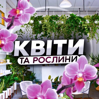 Логотип телеграм -каналу kvity_ta_roslyny — Квіти та рослини