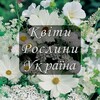 Логотип телеграм канала @kvity_ukraina — 🌼 Квіти. Рослини. Україна🇺🇦