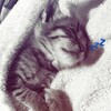 Логотип телеграм канала @kvohe799 — 💋𝒫𝒽𝑜𝓉𝑜 𝒟𝓊𝑒𝓁💋
