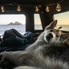Логотип телеграм канала @kweeyi — ты будешь жить с этим