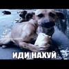 Логотип телеграм канала @kwentelop — секта анонимных любителей томатного сока