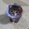 Логотип телеграм канала @kwitinamefe — Channel kwintalla. Oh my god- (°o°:)