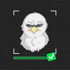 Logo of telegram channel kycberkut — KYC by berkut