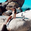 Логотип телеграм канала @kyda_katim — Куда Катим?