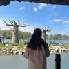 Логотип телеграм канала @kyitrew — ксюняняня