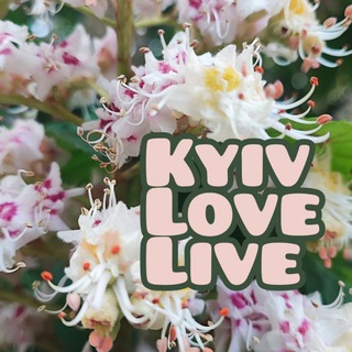 Telegram channel Kyiv_love_live | Куди піти? Київ logo