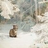 Логотип телеграм канала @kymikkostr — ᴋуʍиᴋᴏ ʙ ᴩᴇᴋᴀʙᴇᴩи𝜗𝜚