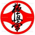 Logo saluran telegram kyokushinmb — کیوکوشین ماتسوشیما بانوان