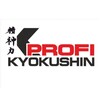 Логотип телеграм канала @kyokushinprofiamur — Kyokushin profi Amur