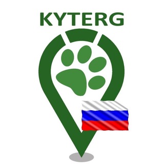 Логотип телеграм канала @kyterg_spb — Потеряшки в Санкт-Петербурге