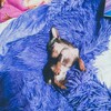 Логотип телеграм канала @kyzi_top — 🐶кузя тут🐶