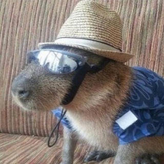 Логотип телеграм канала @kzmvmemes — KzmvMemes