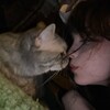 Логотип телеграм канала @kzuukimeow — сузуки