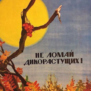 Логотип телеграм канала @l_vmetalove — Kill the Witch