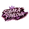 Логотип телеграм канала @l2_gav — Sobaka Pavlova | Lineage 2