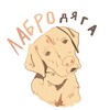 Логотип телеграм канала @labrodyaga — Лабродяга