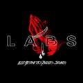 Telegram kanalining logotibi labsplace — L.A.B.S