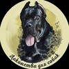 Логотип телеграм канала @lacomstvafordogs — Лакомства для собак🐶