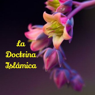 لوگوی کانال تلگرام ladoctrinaislamica — 🌼⁦☘️⁩La Doctrina Islámica⁦☘️⁩🌼