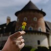 Логотип телеграм канала @lafermereve — La Ferme de Reve
