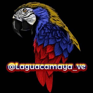 Logo of telegram channel laguacamaya_ve — La Guacamaya Respaldo