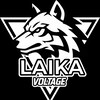 Telegram channel LAIKA company logo