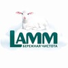 Telegram kanalining logotibi lamm_uz — Lamm.uz