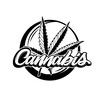 Logo of telegram channel lancebuds247 — Lance Buds