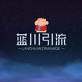 Logo saluran telegram lanchuanyinliu_com — 电报拉人 海外社交媒体营销