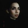 Логотип телеграм канала @landmanirina — Landman (книги, цитаты, жизнь)