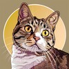 Логотип телеграм канала @lapki_zacarapki — Шерстяной любимец (коты и кошечки)