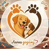Логотип телеграм -каналу lapkidodomu — Лапки додому ❤️