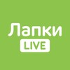 Логотип телеграм канала @lapkilive — Лапки LIVE