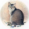 Логотип телеграм канала @lapkulapku — мяу, у меня лапки 🐾