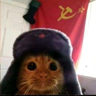 Логотип телеграм канала @lar4ikt7 — Скины от Lar4ik